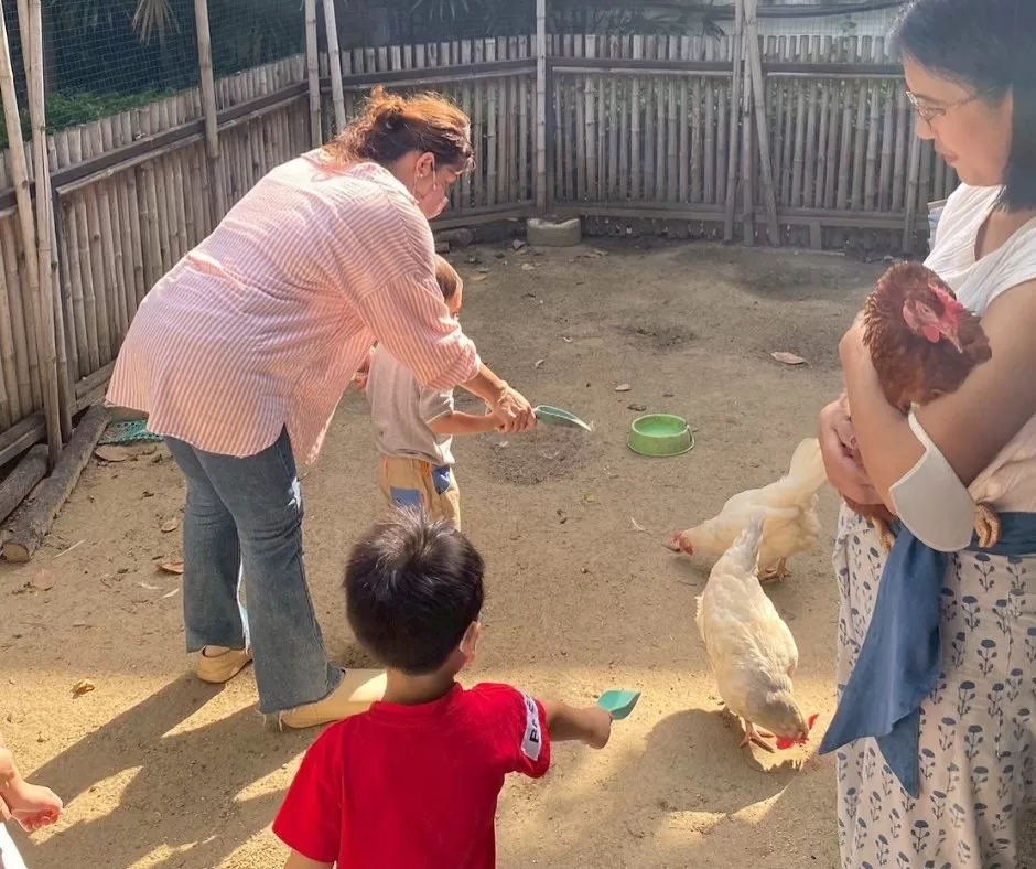 Daisy Ray Montessori School