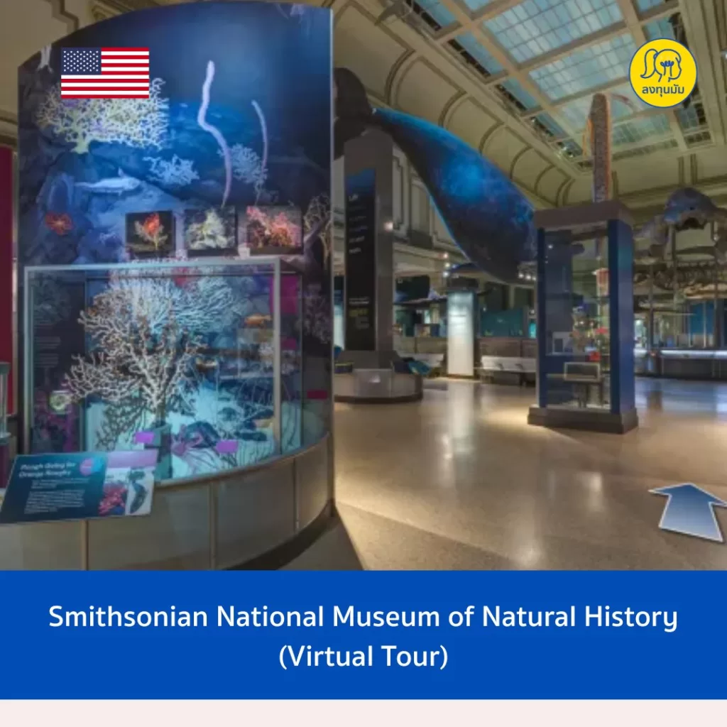 Smithsonian National Museum of Natural History (Virtual Tour)
