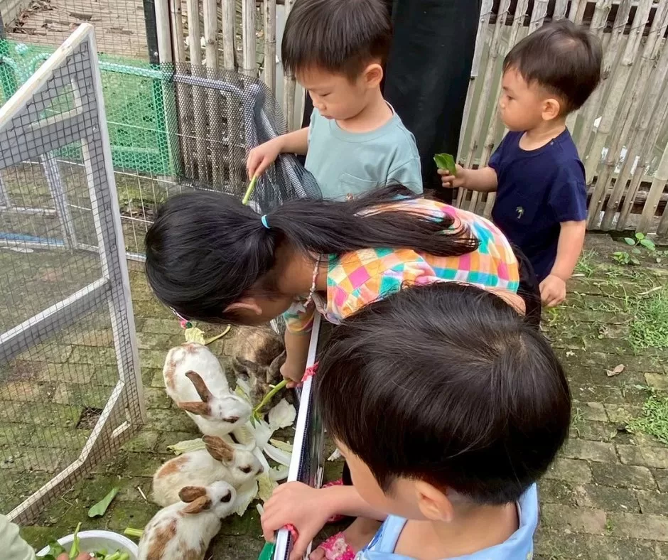 Daisy Ray Montessori School