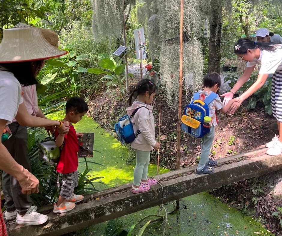 Daisy Ray Montessori